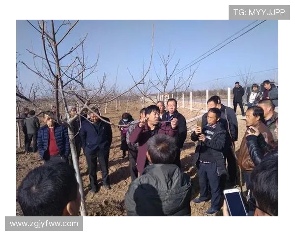 西安羽毛球队运营革新探讨：从传统模式到现代管理的转型之路